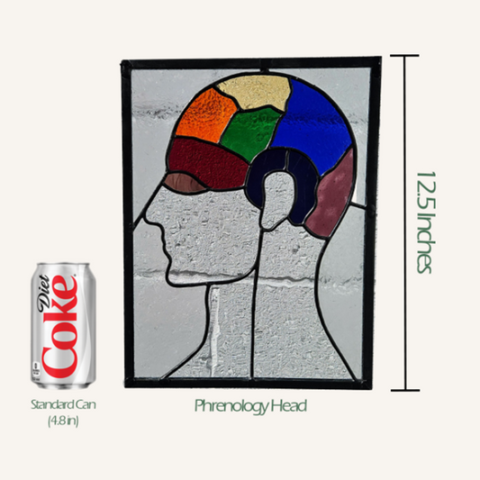 Phrenology Head Stained Glass