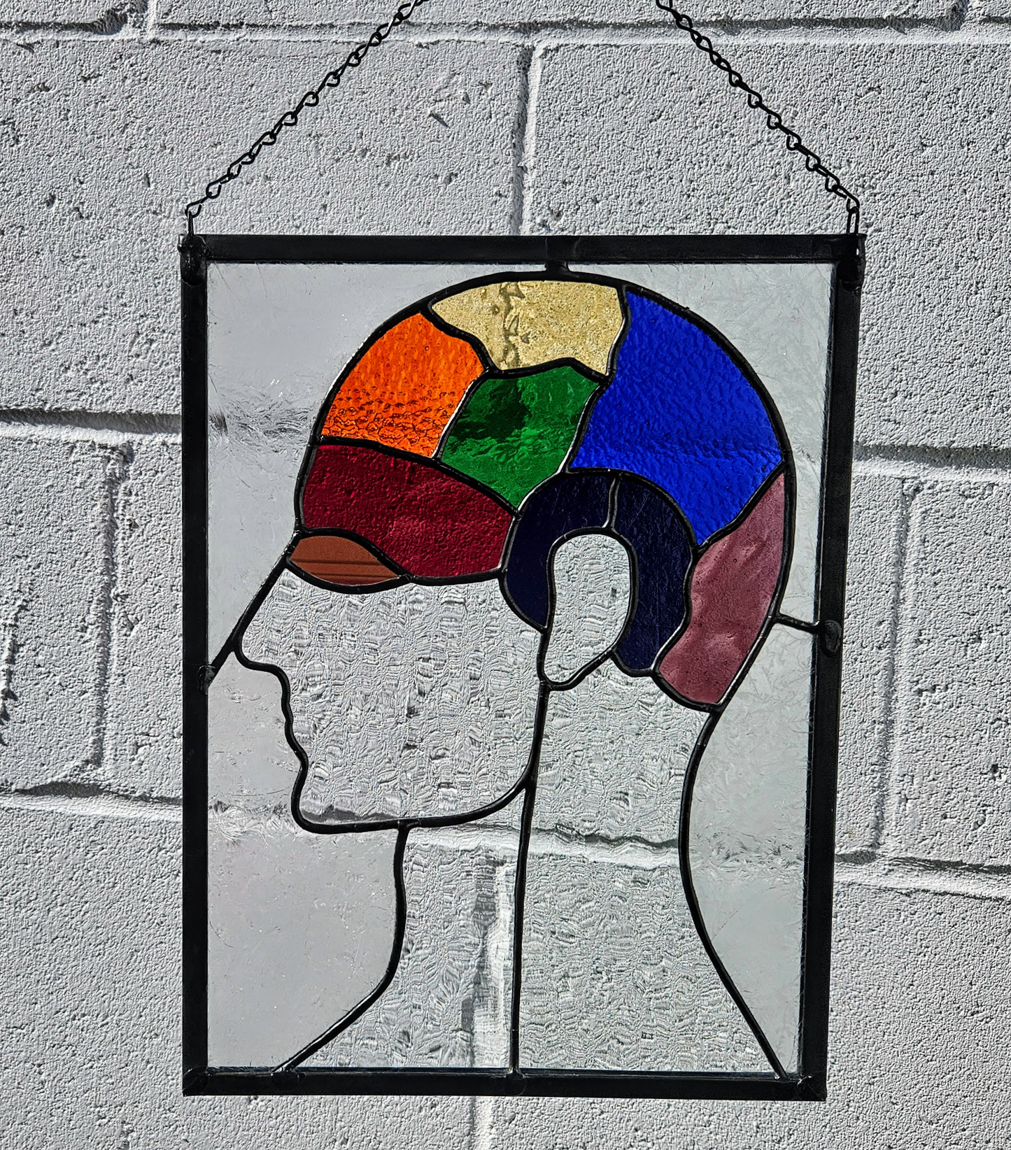 Phrenology Head Stained Glass