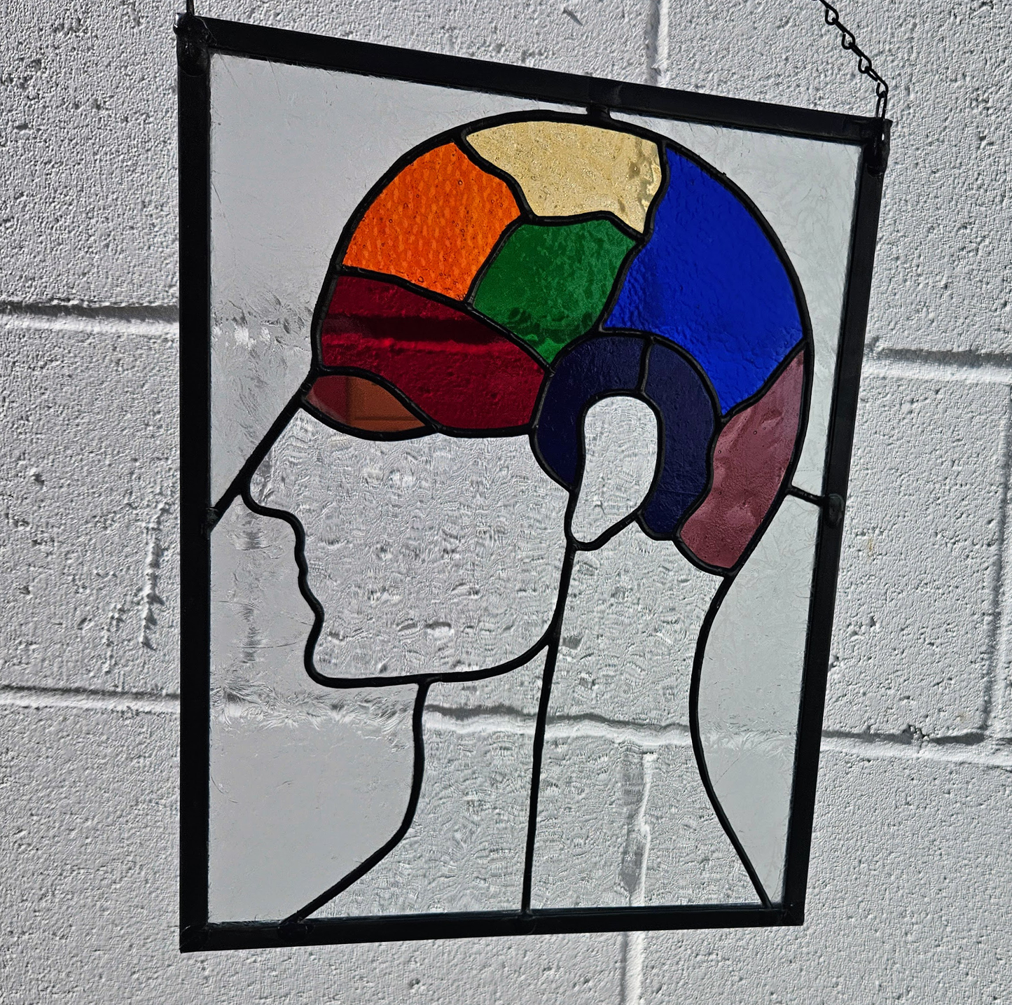 Phrenology Head Stained Glass