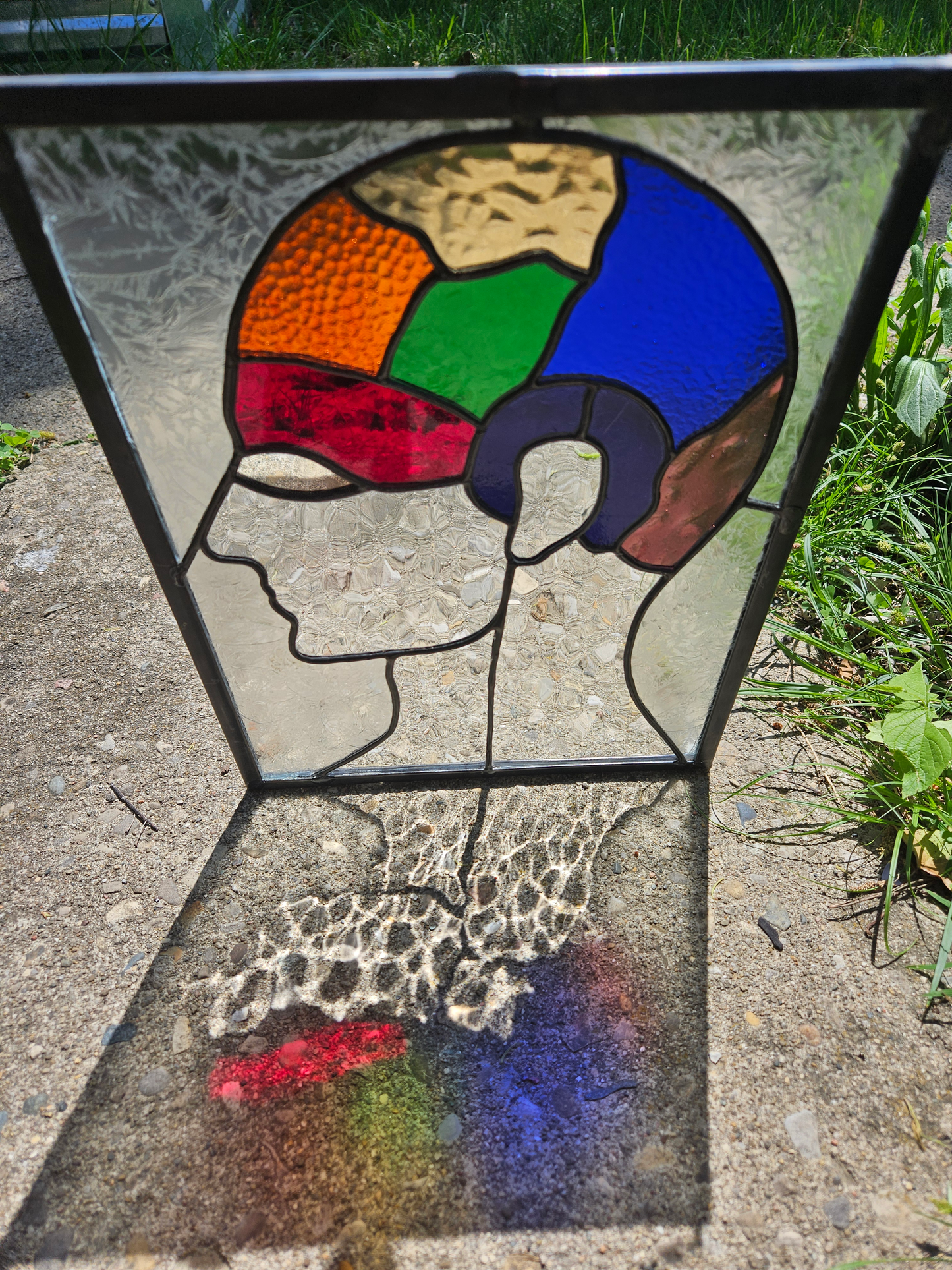 Phrenology Head Stained Glass