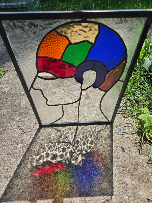 Phrenology Head Stained Glass