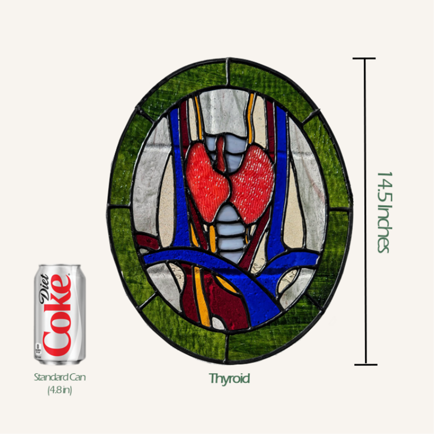 Anatomical Thyroid Stained Glass Panel